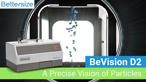 BeVision D2 a precise vision of particles
